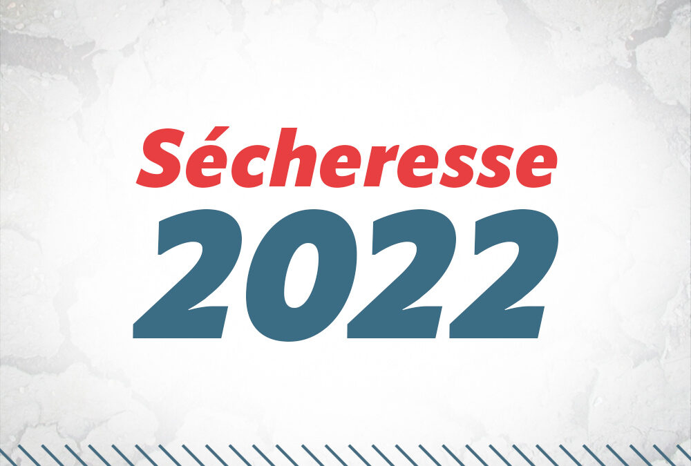 Sécheresse 2022