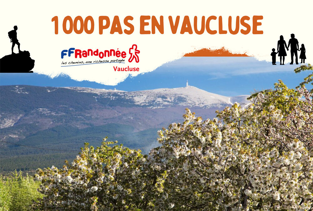 1000 pas en Vaucluse