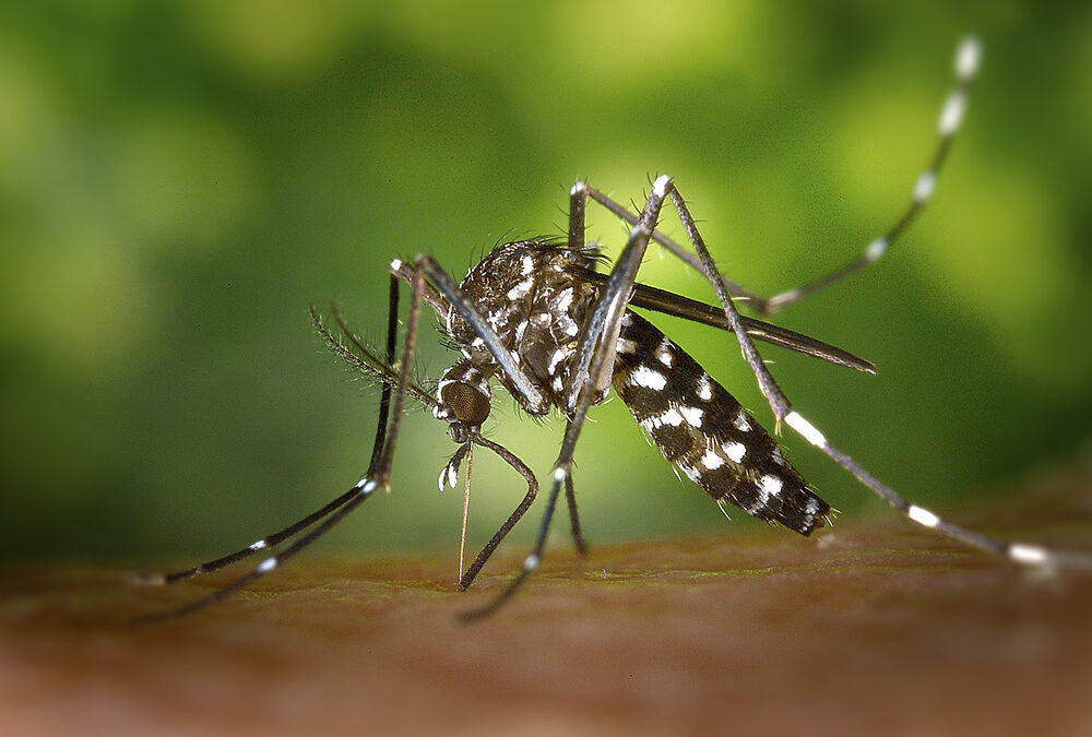 COMMUNIQUÉ DE PRESSE ARS PACA