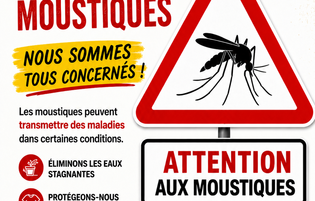 Prévention moustiques : adoptons les bons gestes à Morières-lès-Avignon